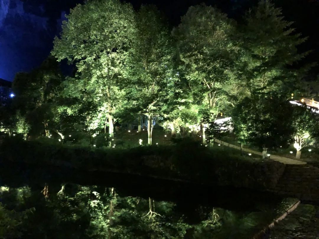 1707123328493546.jpg 1707123328493546.jpg