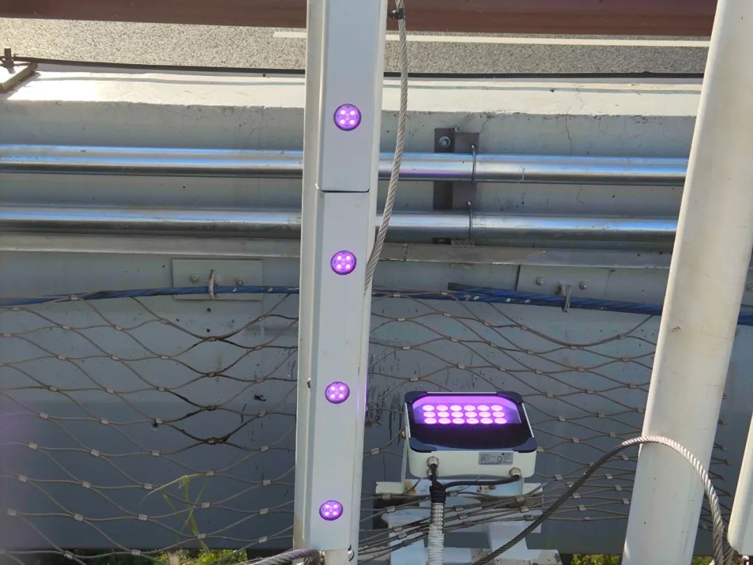 1753324976219061.jpg image13_640.jpg